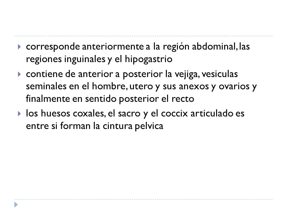 corresponde anteriormente a la región abdominal, las regiones inguinales y el hipogastrio