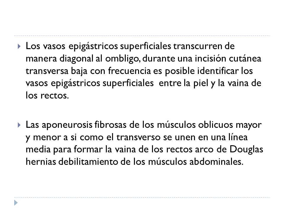 Los vasos epigástricos superficiales transcurren de manera diagonal al ombligo, durante una incisión cutánea transversa baja con frecuencia es posible identificar los vasos epigástricos superficiales entre la piel y la vaina de los rectos.