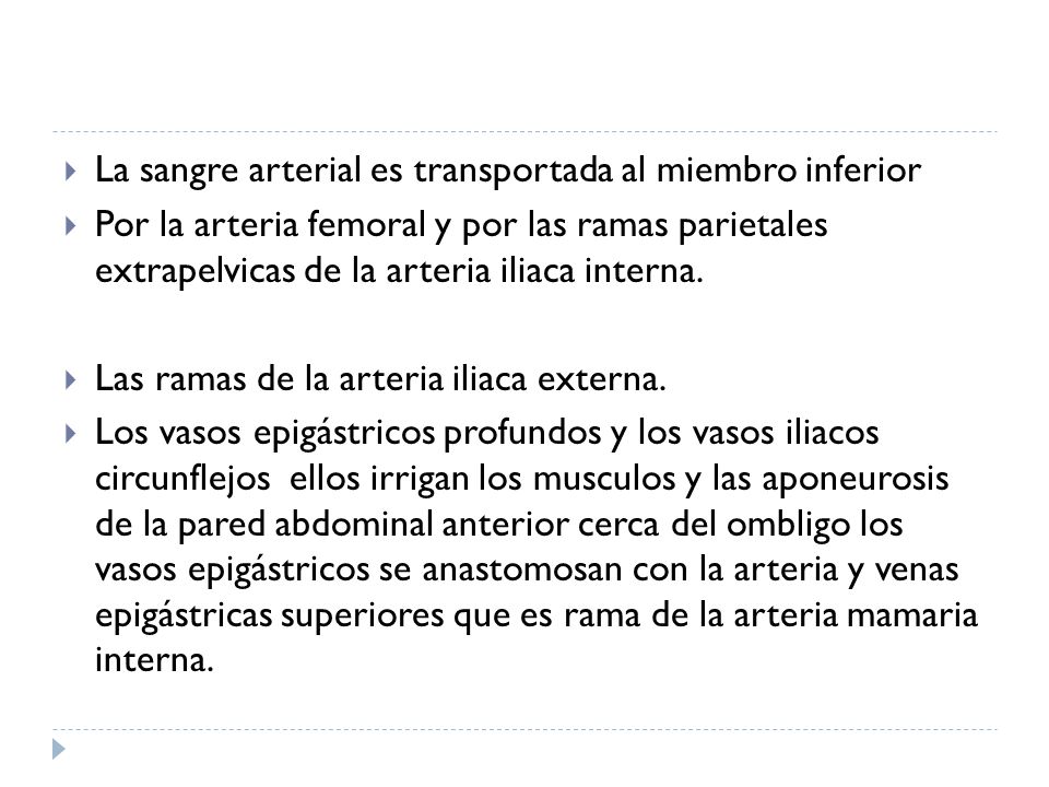 La sangre arterial es transportada al miembro inferior