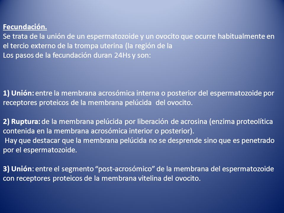 Fecundación.