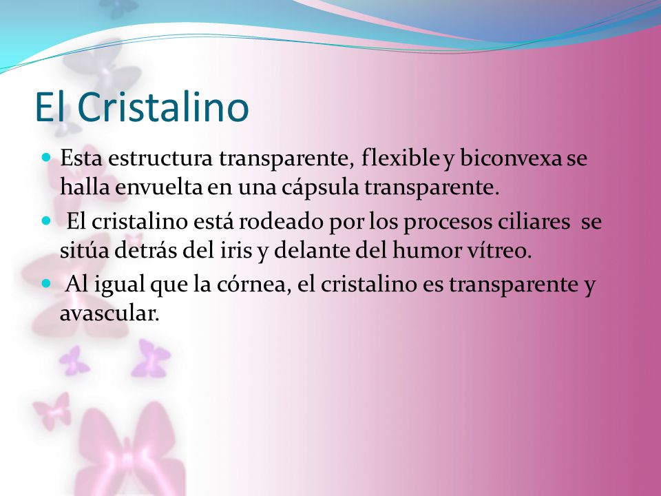 El Cristalino Esta estructura transparente, flexible y biconvexa se halla envuelta en una cápsula transparente.