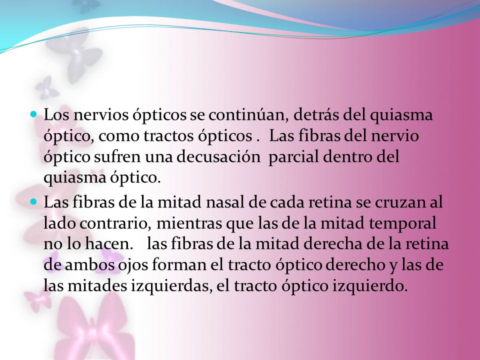 Los nervios ópticos se continúan, detrás del quiasma óptico, como tractos ópticos . Las fibras del nervio óptico sufren una decusación parcial dentro del quiasma óptico.