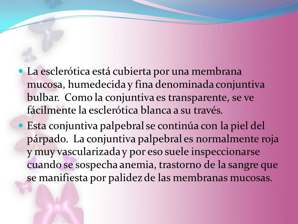 La esclerótica está cubierta por una membrana mucosa, humedecida y fina denominada conjuntiva bulbar. Como la conjuntiva es transparente, se ve fácilmente la esclerótica blanca a su través.