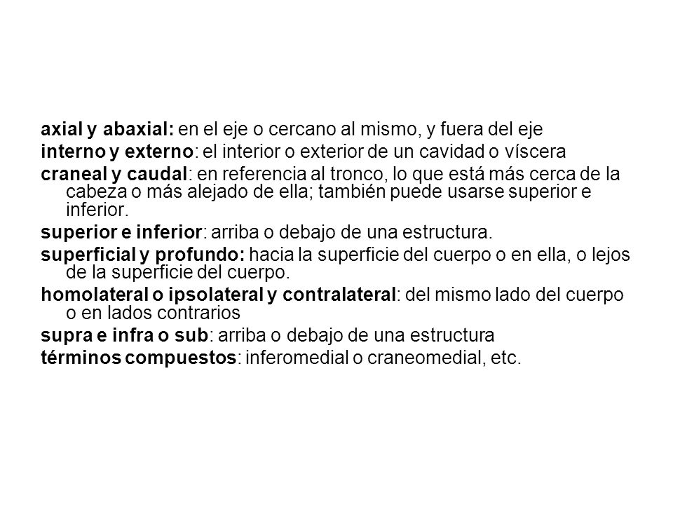 axial y abaxial: en el eje o cercano al mismo, y fuera del eje