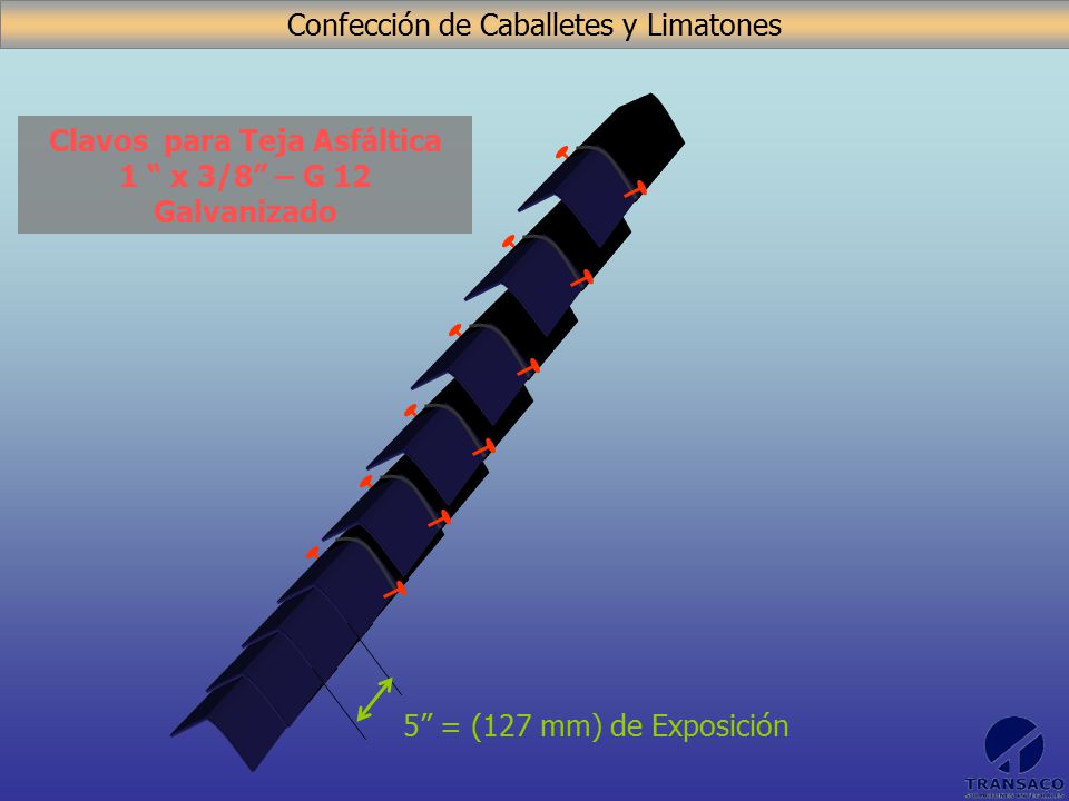 Clavos para Teja Asfáltica 1 x 3/8 – G 12 Galvanizado