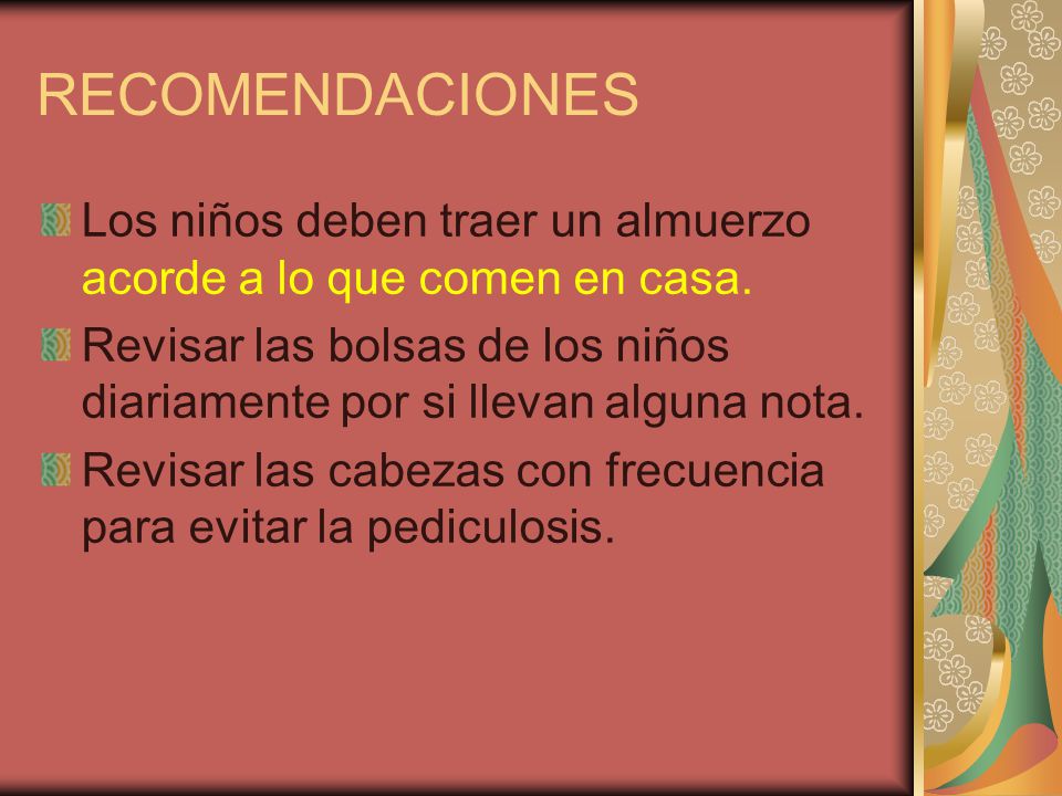 RECOMENDACIONES Los niños deben traer un almuerzo acorde a lo que comen en casa.