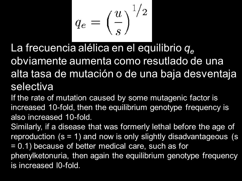 La frecuencia alélica en el equilibrio qe obviamente aumenta como resutlado de una alta tasa de mutación o de una baja desventaja selectiva