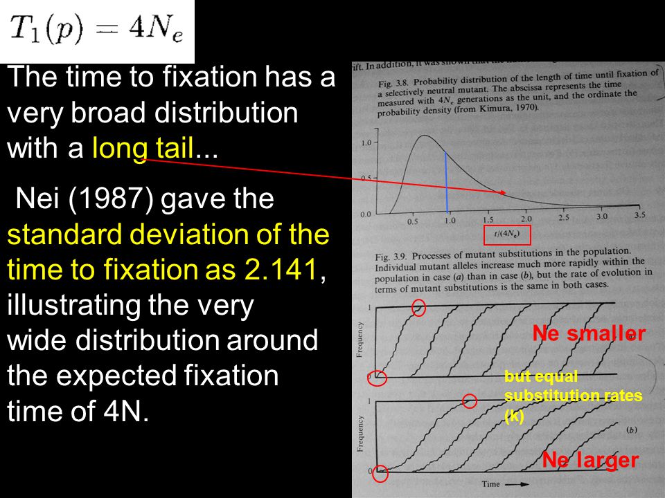 The time to fixation has a very broad distribution with a long tail...