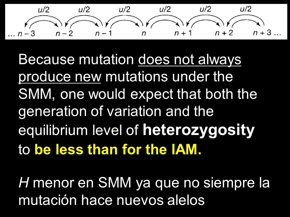 Because mutation does not always produce new mutations under the SMM, one would expect that both the generation of variation and the equilibrium level of heterozygosity to be less than for the IAM.