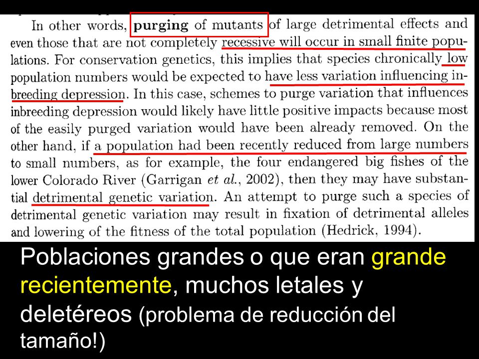 Poblaciones grandes o que eran grande recientemente, muchos letales y deletéreos (problema de reducción del tamaño!)