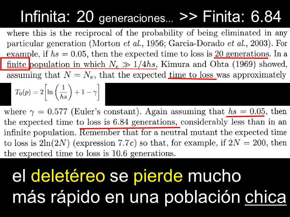 el deletéreo se pierde mucho más rápido en una población chica