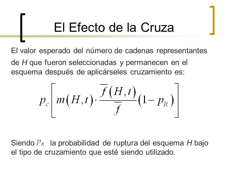 El Efecto de la Cruza El valor esperado del número de cadenas representantes.