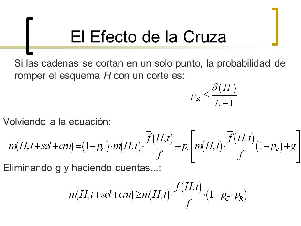 El Efecto de la Cruza Si las cadenas se cortan en un solo punto, la probabilidad de romper el esquema H con un corte es: