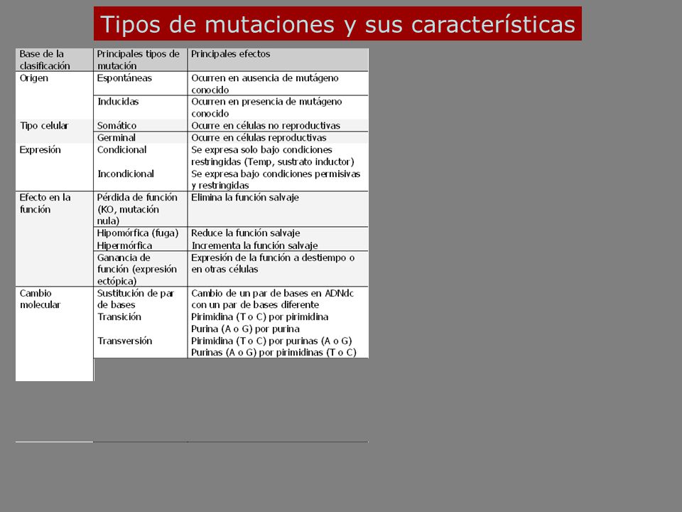 Tipos de mutaciones y sus características