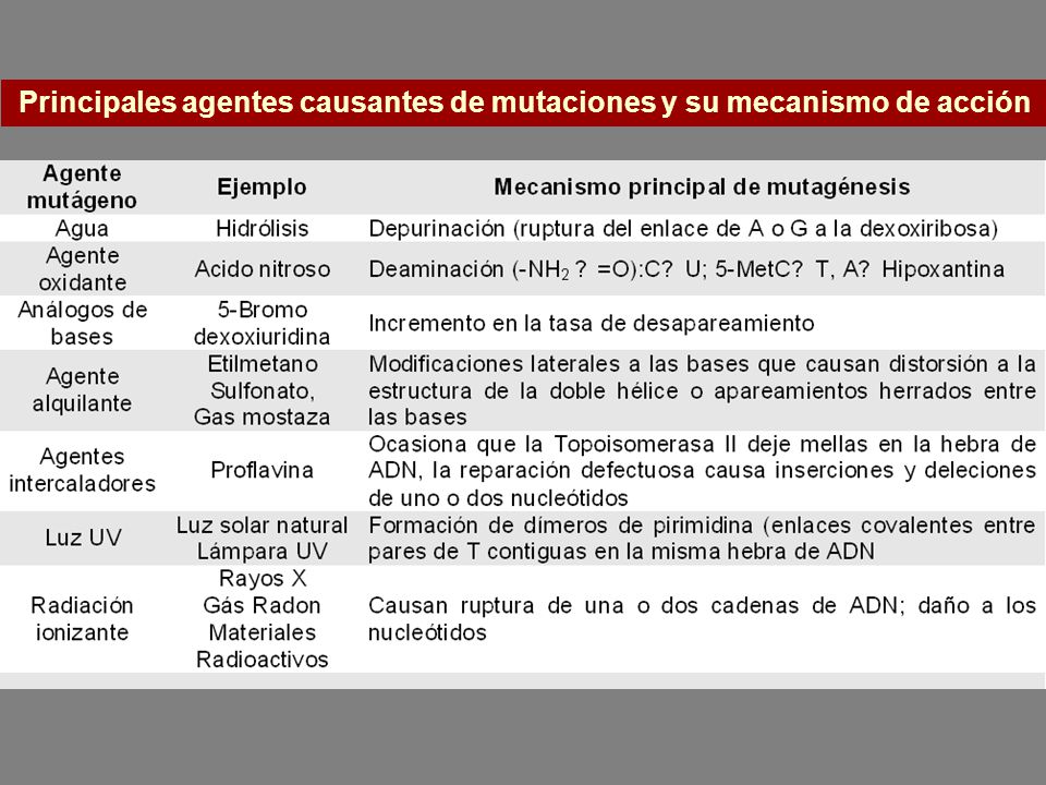 Principales agentes causantes de mutaciones y su mecanismo de acción