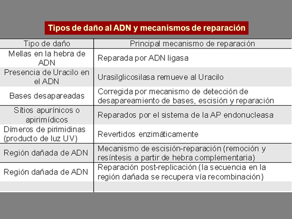 Tipos de daño al ADN y mecanismos de reparación