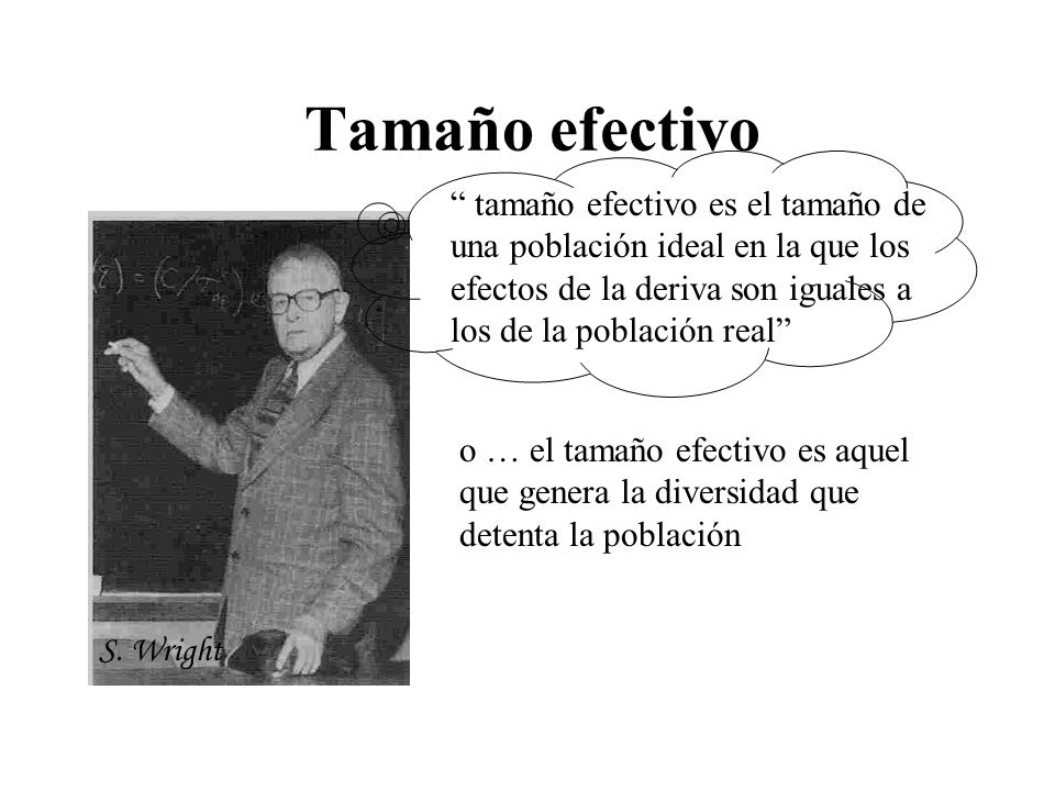 Tamaño efectivo tamaño efectivo es el tamaño de una población ideal en la que los efectos de la deriva son iguales a los de la población real