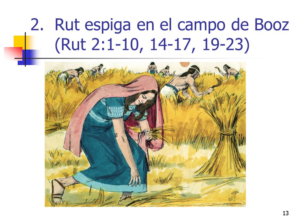 Rut espiga en el campo de Booz (Rut 2:1-10, 14-17, 19-23)