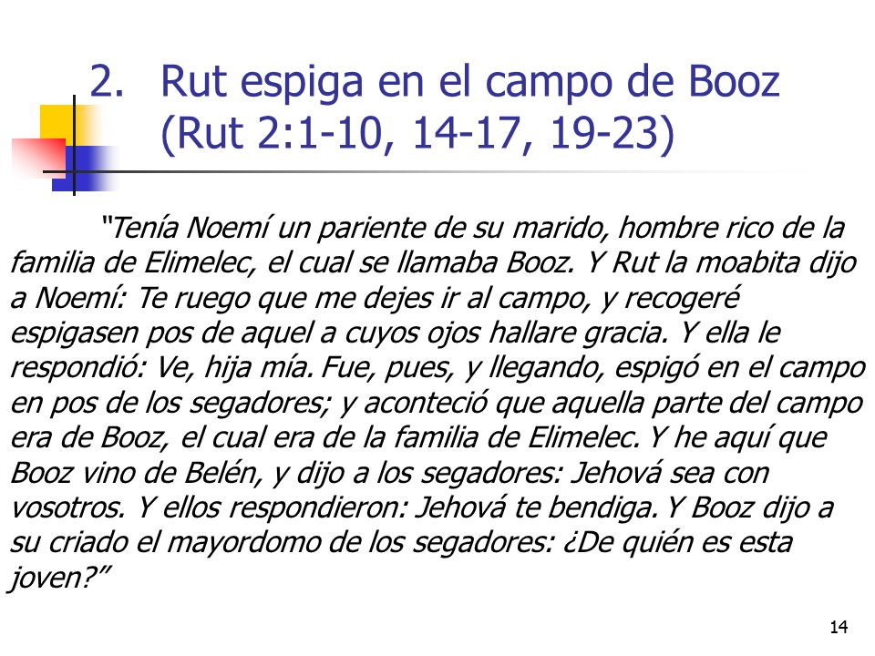 Rut espiga en el campo de Booz (Rut 2:1-10, 14-17, 19-23)