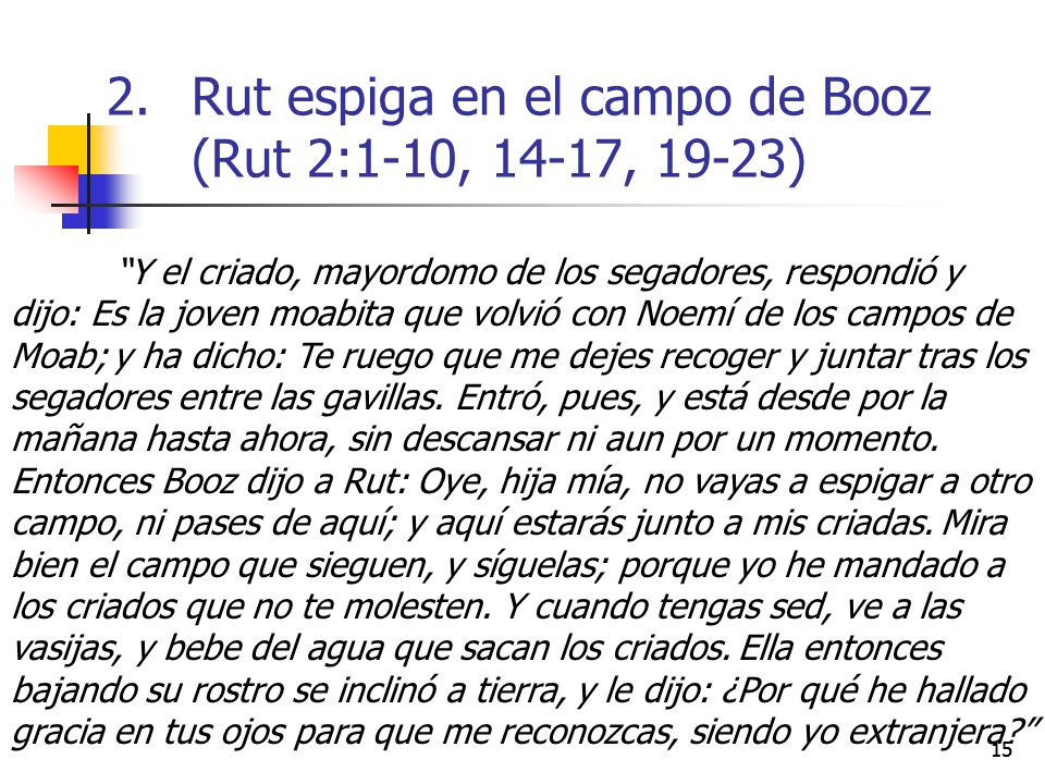 Rut espiga en el campo de Booz (Rut 2:1-10, 14-17, 19-23)