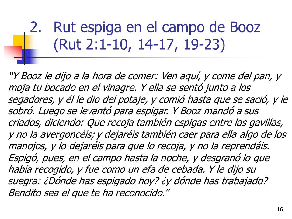 Rut espiga en el campo de Booz (Rut 2:1-10, 14-17, 19-23)