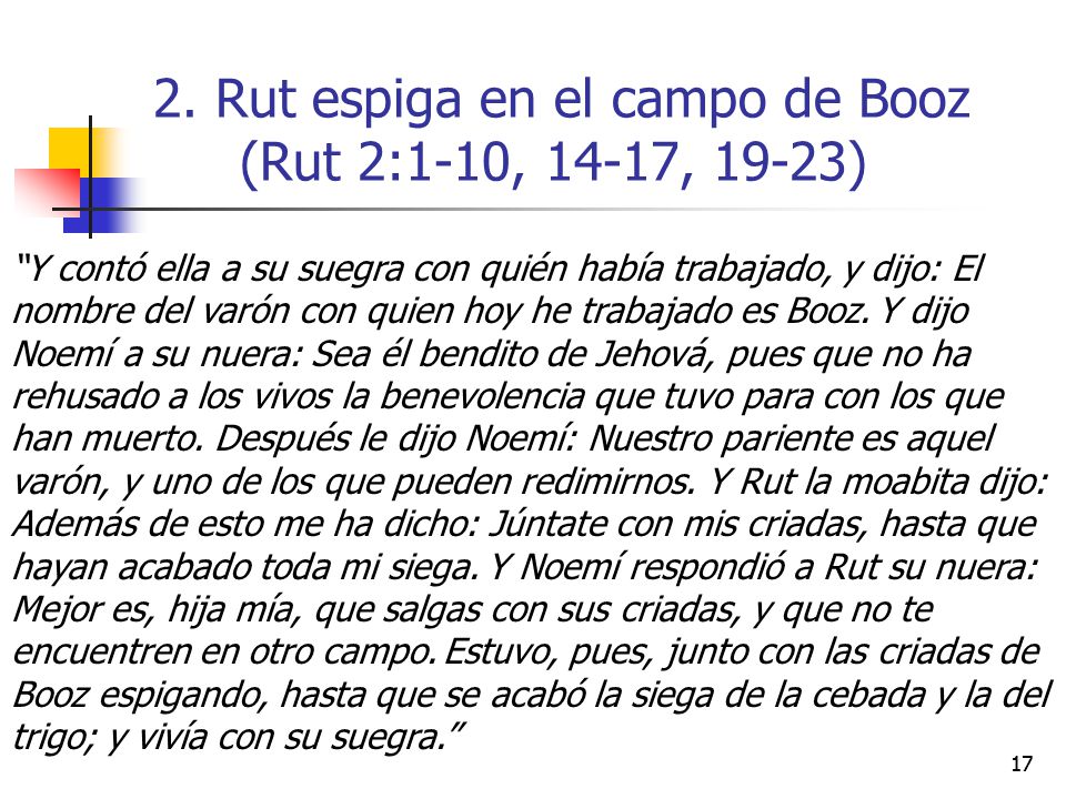 2. Rut espiga en el campo de Booz (Rut 2:1-10, 14-17, 19-23)
