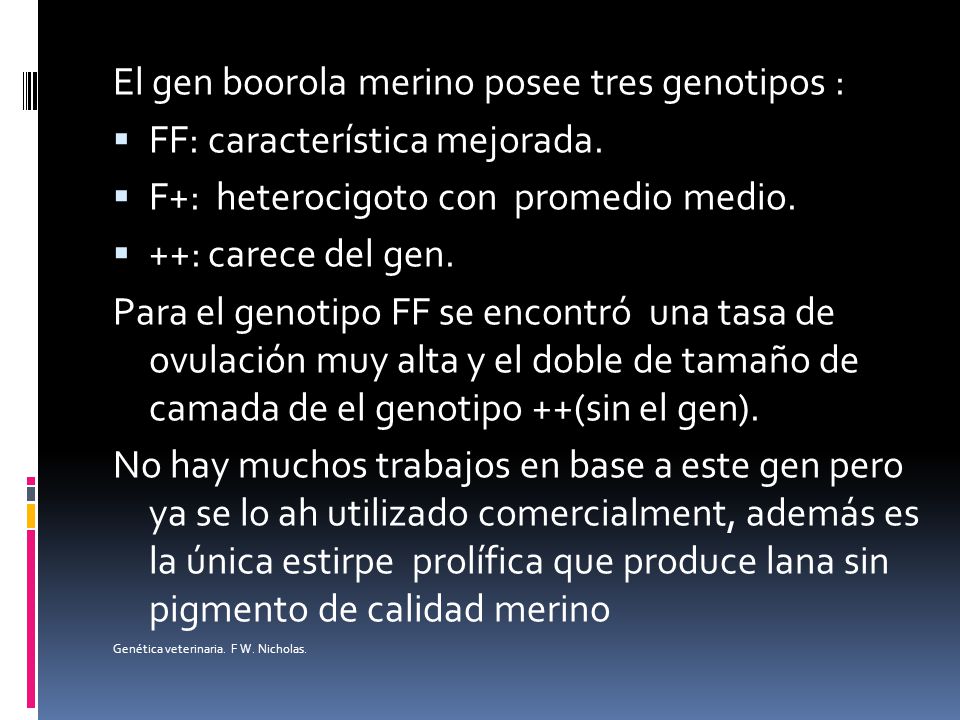 El gen boorola merino posee tres genotipos :