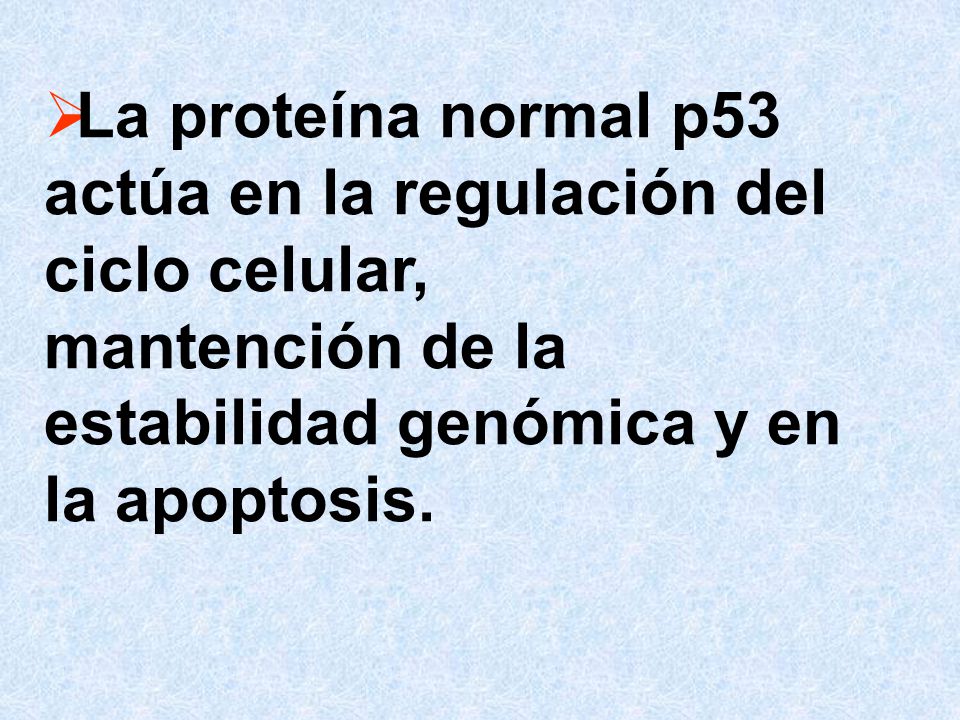 La proteína normal p53 actúa en la regulación del ciclo celular,
