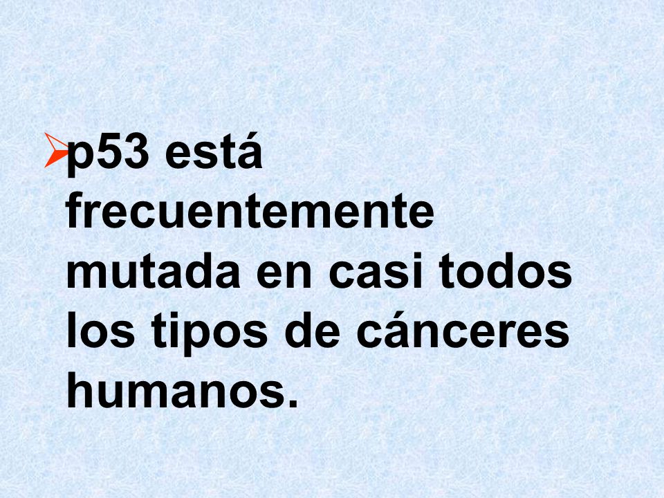 p53 está frecuentemente mutada en casi todos los tipos de cánceres humanos.