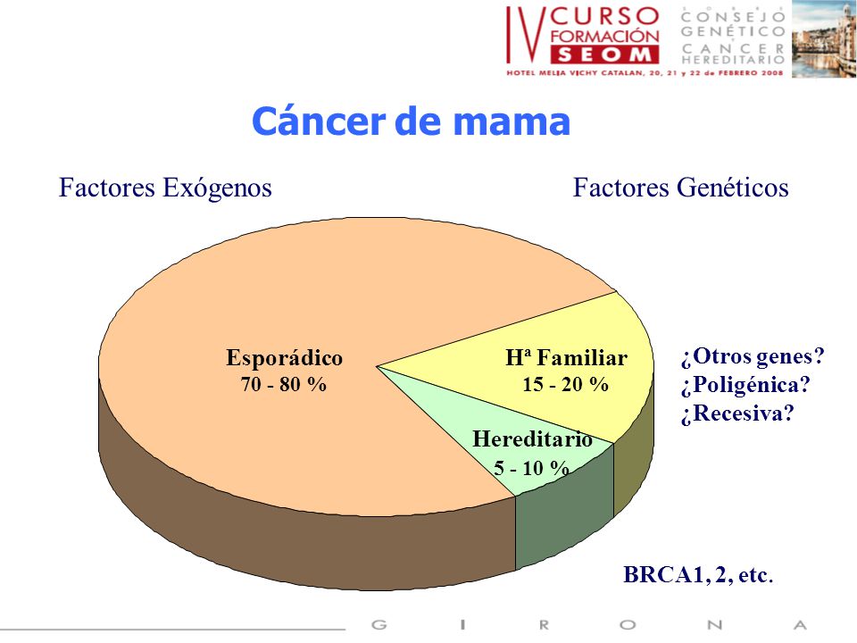 Introducción Cáncer de mama Factores Exógenos Factores Genéticos