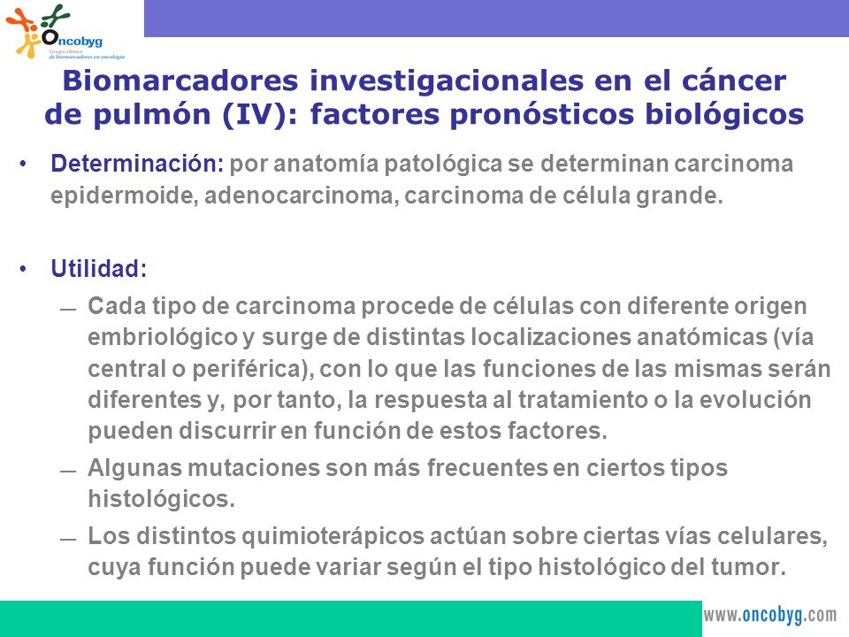 Biomarcadores investigacionales en el cáncer de pulmón (IV): factores pronósticos biológicos