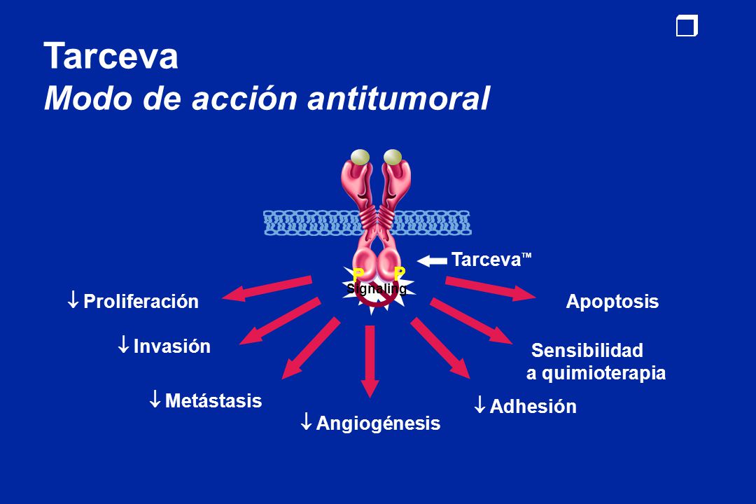 Tarceva Modo de acción antitumoral TarcevaTM P P ¯ Proliferación