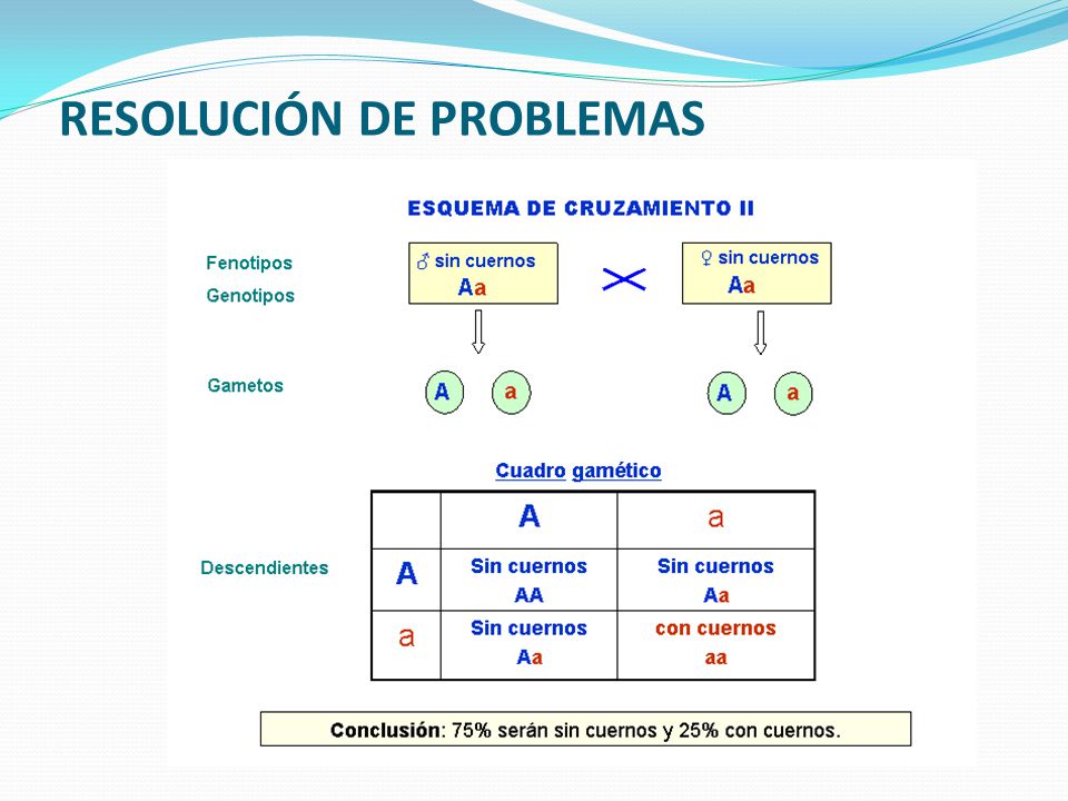 RESOLUCIÓN DE PROBLEMAS