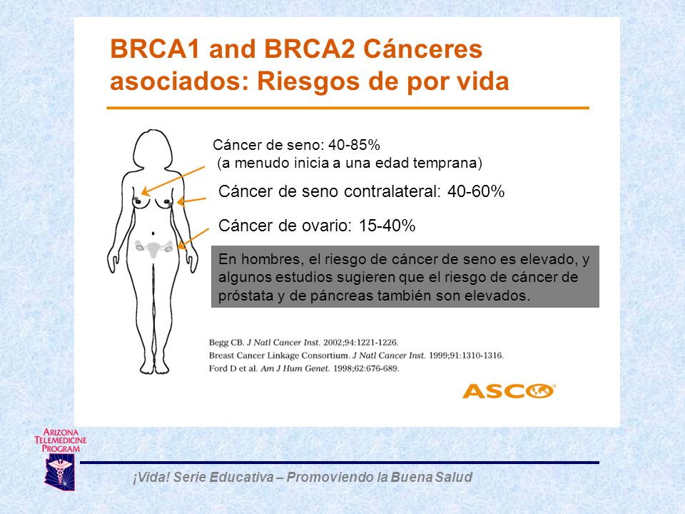 BRCA1 and BRCA2 Cánceres asociados: Riesgos de por vida