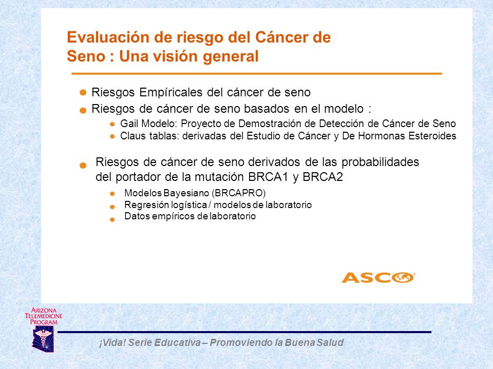 Evaluación de riesgo del Cáncer de Seno : Una visión general