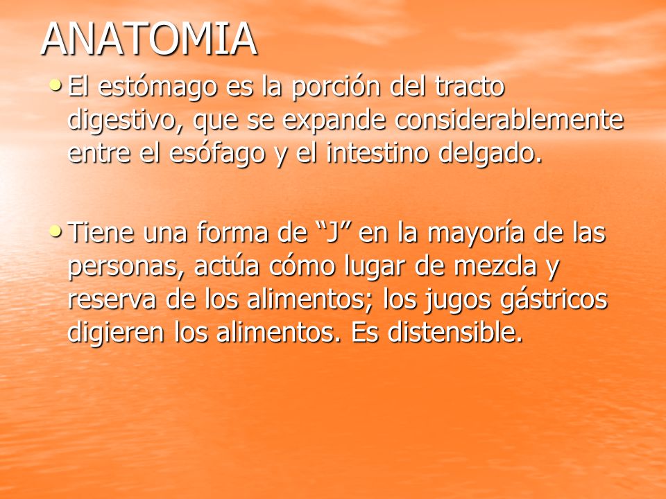 ANATOMIA El estómago es la porción del tracto digestivo, que se expande considerablemente entre el esófago y el intestino delgado.
