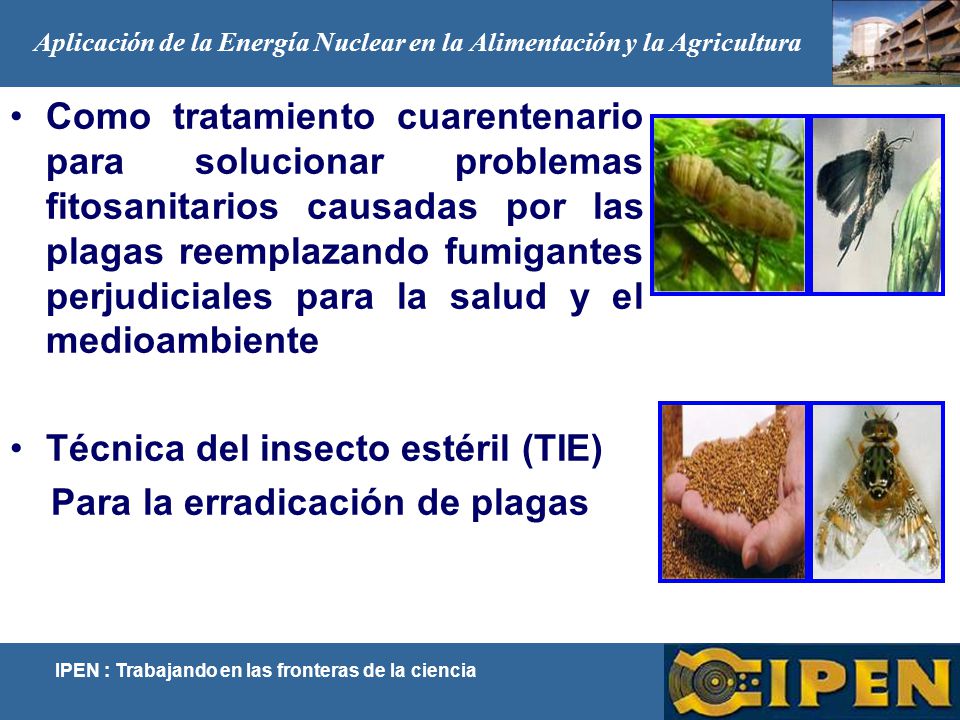 Técnica del insecto estéril (TIE) Para la erradicación de plagas