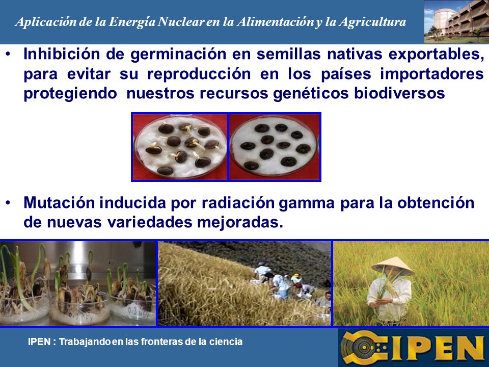 Aplicación de la Energía Nuclear en la Alimentación y la Agricultura