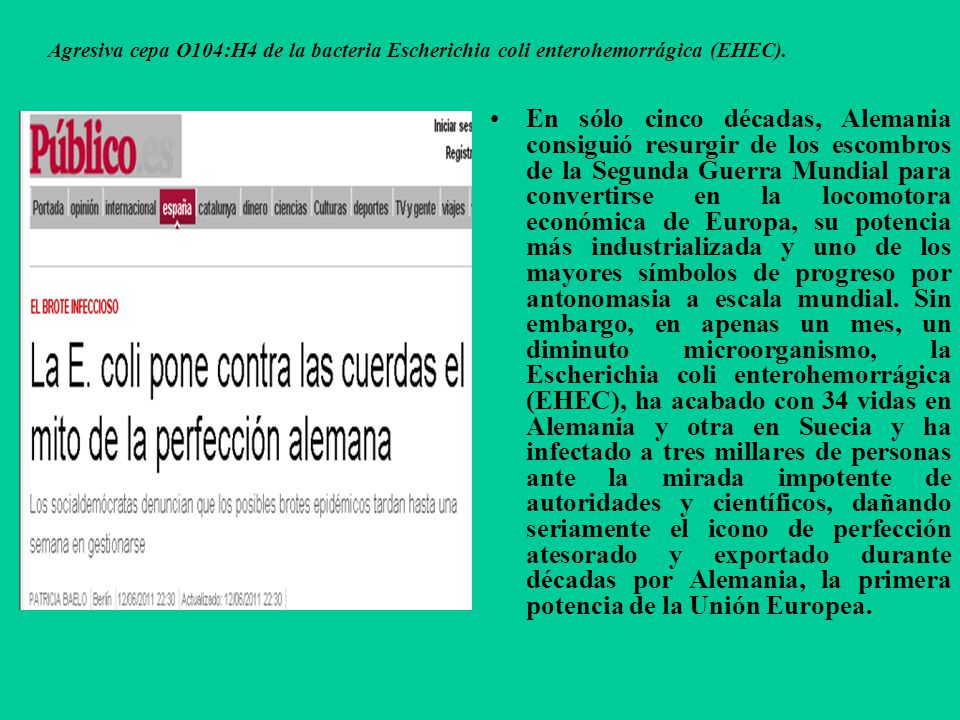 Agresiva cepa O104:H4 de la bacteria Escherichia coli enterohemorrágica (EHEC).