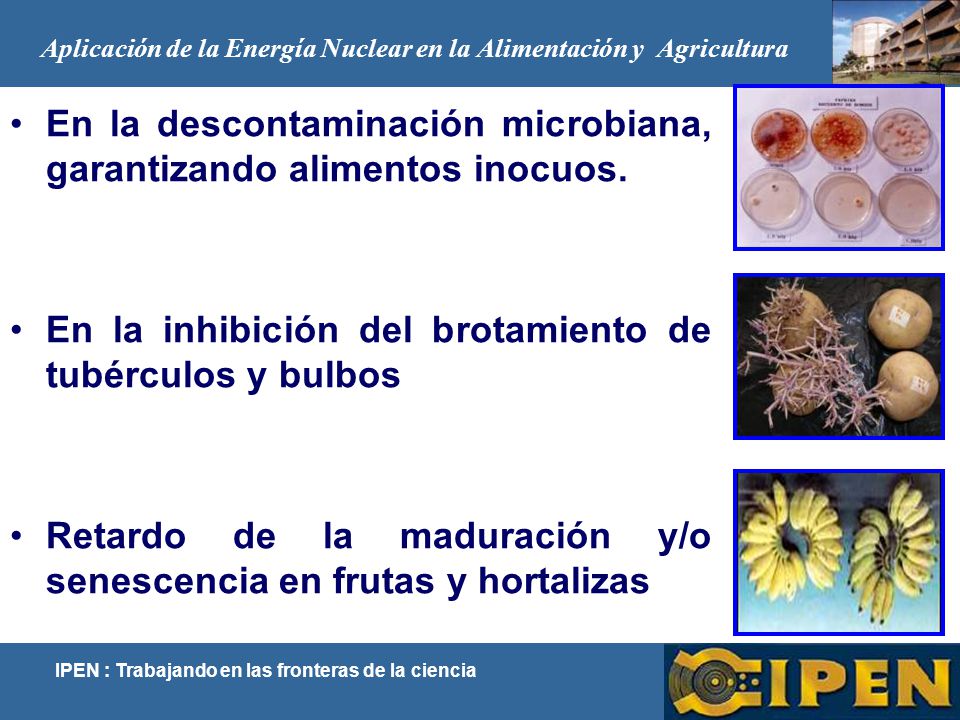 Aplicación de la Energía Nuclear en la Alimentación y Agricultura