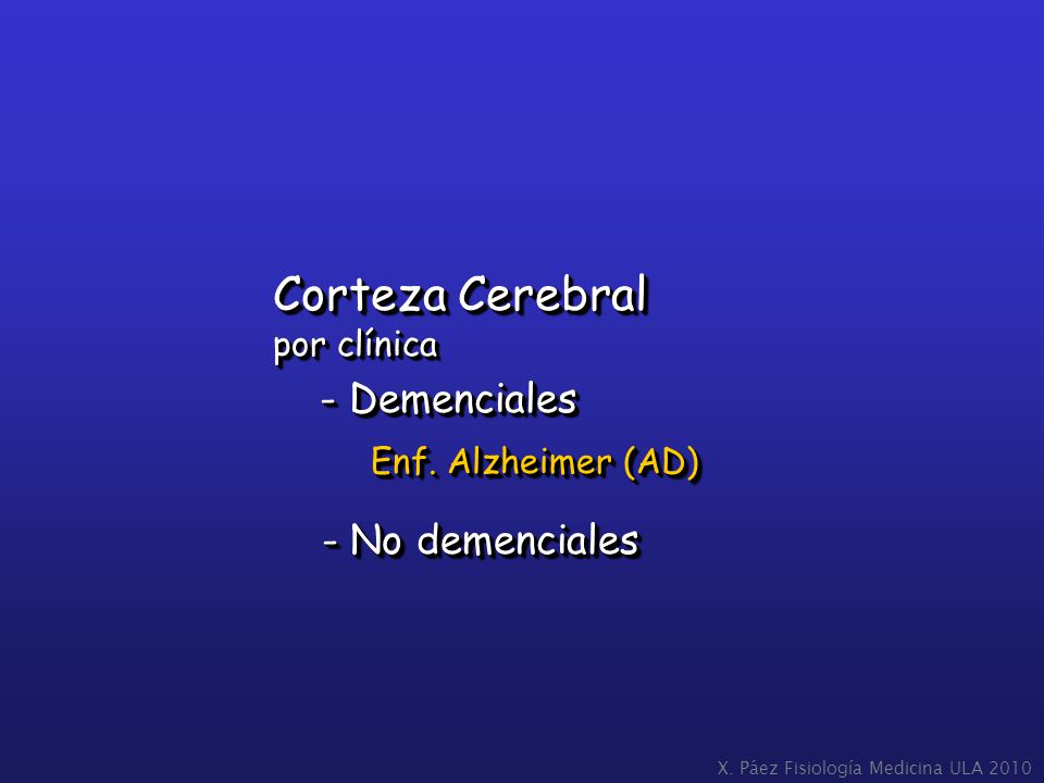 Corteza Cerebral Enf. Alzheimer (AD) - No demenciales por clínica