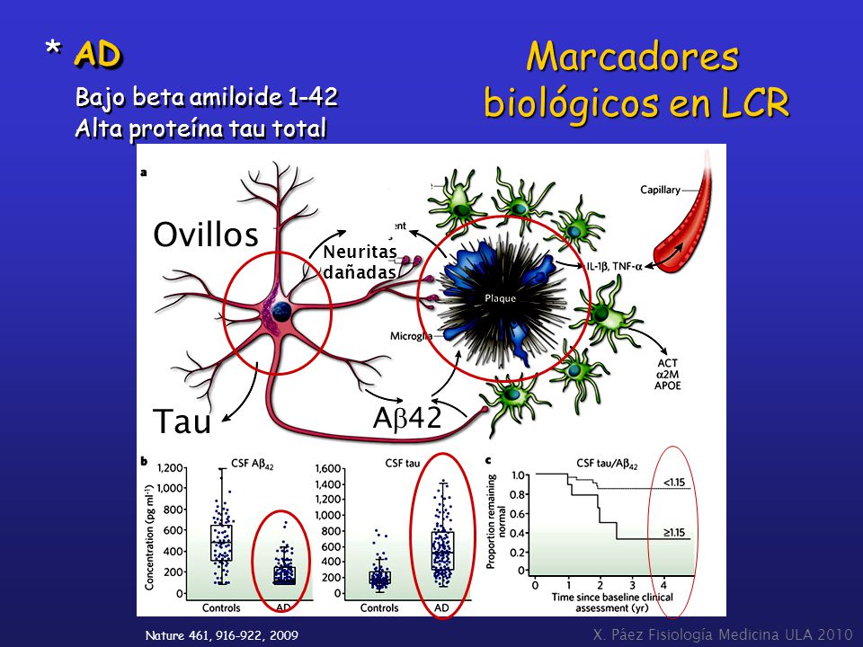 Marcadores biológicos en LCR * AD Bajo beta amiloide 1-42 Ovillos Tau