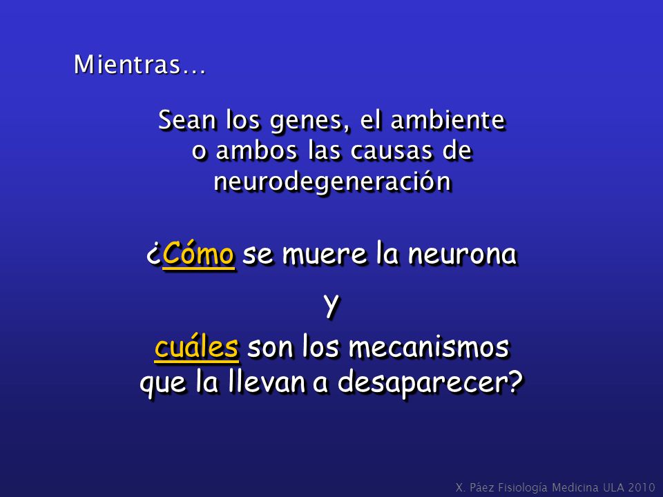 ¿Cómo se muere la neurona y cuáles son los mecanismos