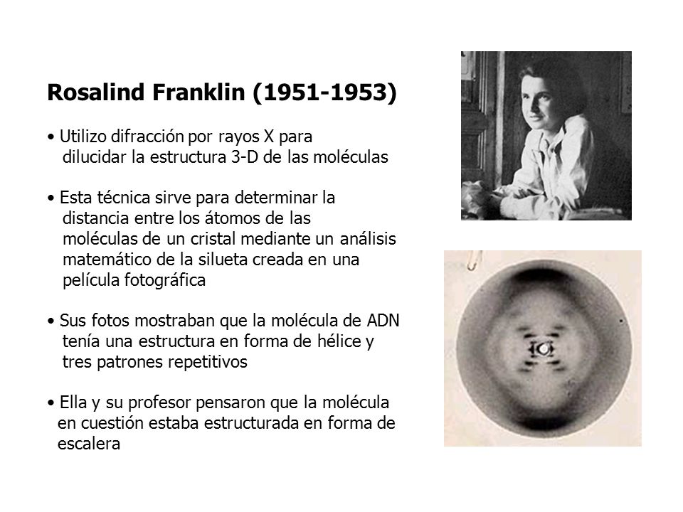 Rosalind Franklin ( ) Utilizo difracción por rayos X para