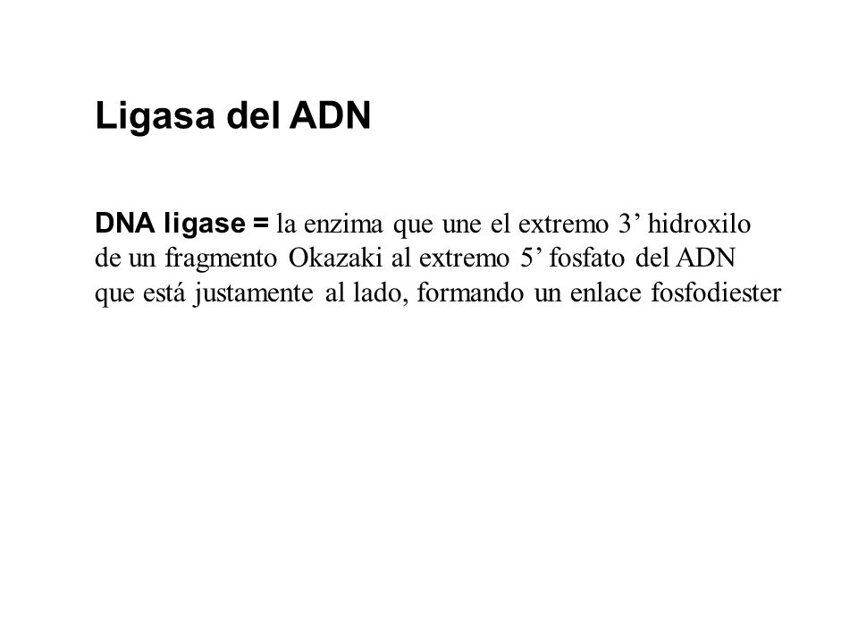 Ligasa del ADN DNA ligase = la enzima que une el extremo 3’ hidroxilo