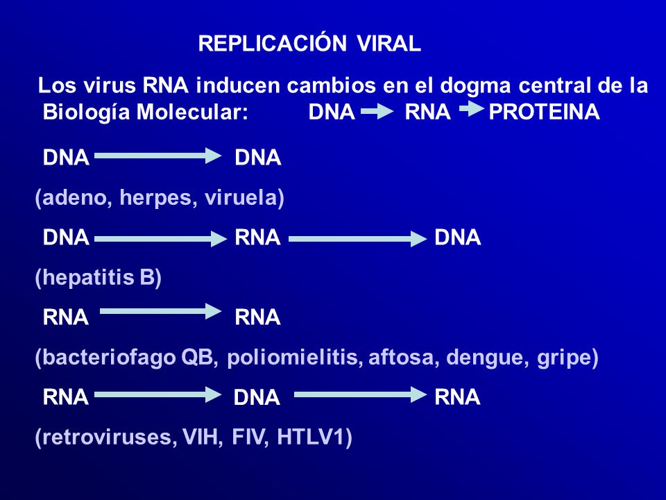 REPLICACIÓN VIRAL Los virus RNA inducen cambios en el dogma central de la. Biología Molecular: DNA RNA PROTEINA.