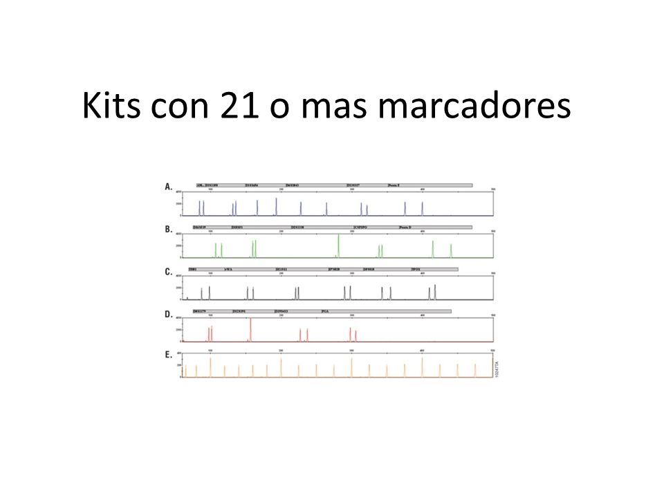 Kits con 21 o mas marcadores