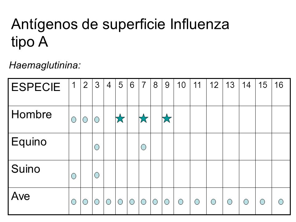 Antígenos de superficie Influenza tipo A