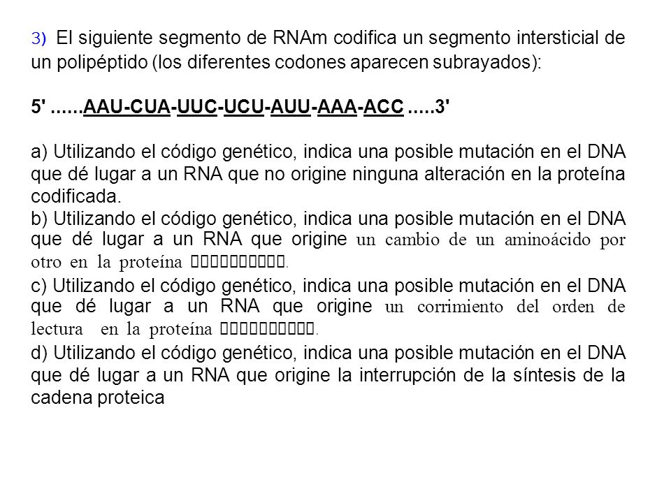 3) El siguiente segmento de RNAm codifica un segmento intersticial de un polipéptido (los diferentes codones aparecen subrayados):