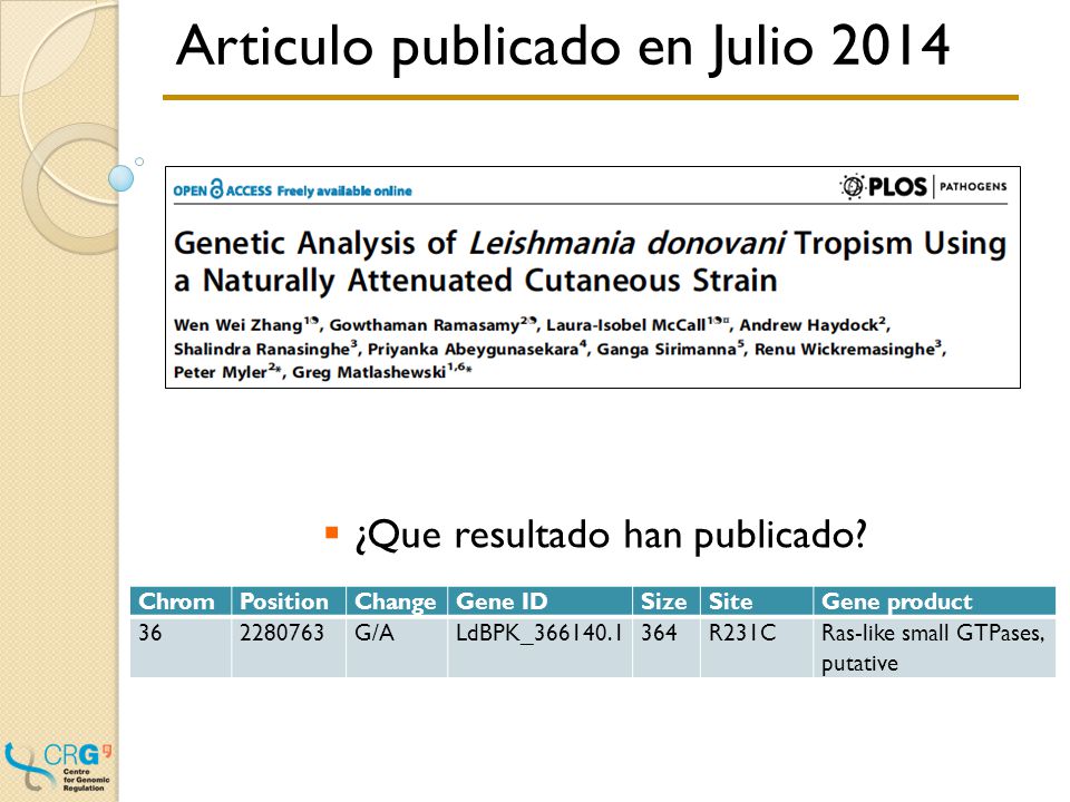 ¿Cómo se hace Vamos a alinear la secuencias de CL i VL contra una referencia. GTGTGGGCGCGCATTGCGTAGCCCGGGGTTTCACA.